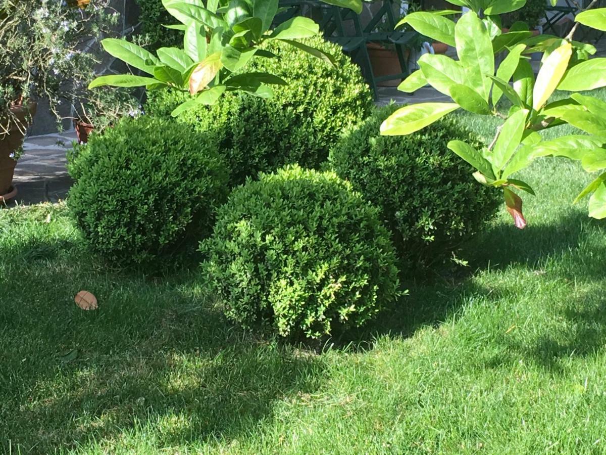 House&Garden Leilighet San Donato Milanese Eksteriør bilde